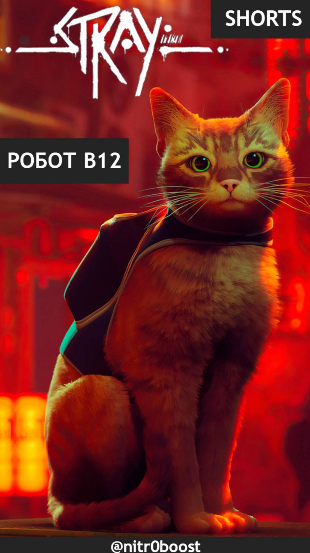 🐱Приключения котика в городе роботов: Stray - встреча с роботом B12 - Shorts # 10