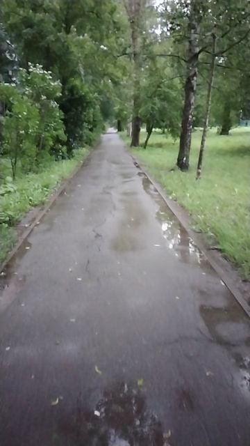 Дождливо, 29 июня 2025.
