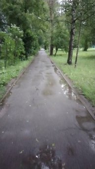 Дождливо, 29 июня 2025.