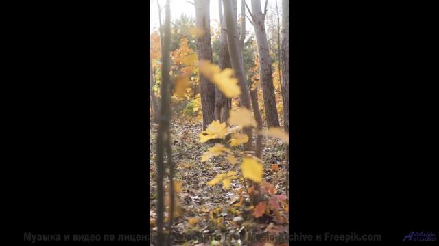 Ноты вливаются в пейзажи, создавая полную гармонию - (Thank God For This) Lightness of Being -- Sidd