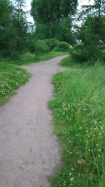 Занимаюсь скандинавской ходьбой, 30 июня 2025.