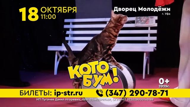 КУКЛАЧЕВ_УФА_10сек_1