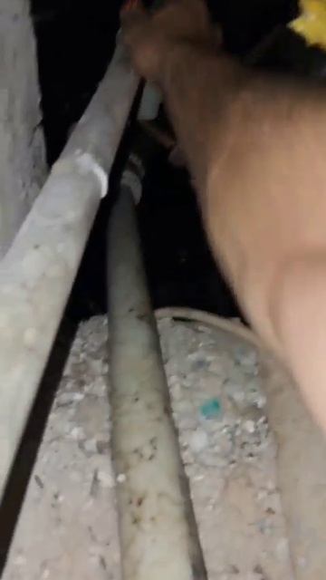 Голубые дали, 4