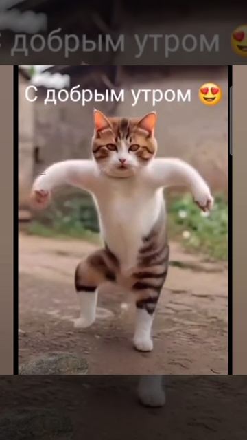 Доброе утро #доброеутро #благодарность