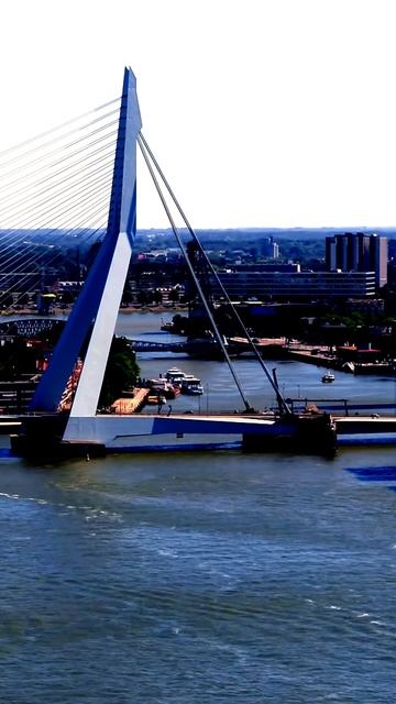 Моменты, захваченные камерой