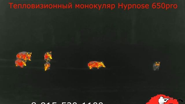 Тепловизионный монокуляр Hypnose