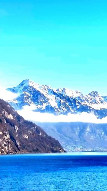 Неожиданные кадры на камеру