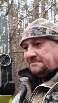 возьня с кабанами