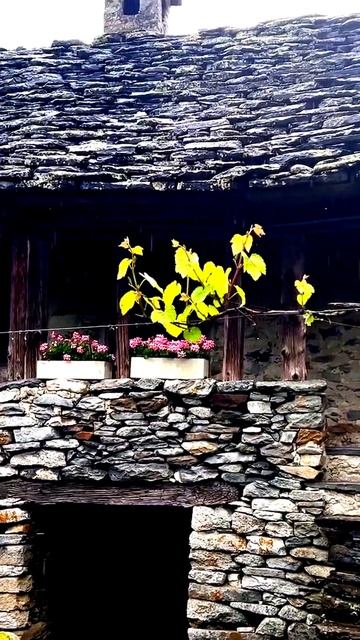 Камера сняла неожиданную реакцию