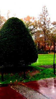 Невероятные кадры