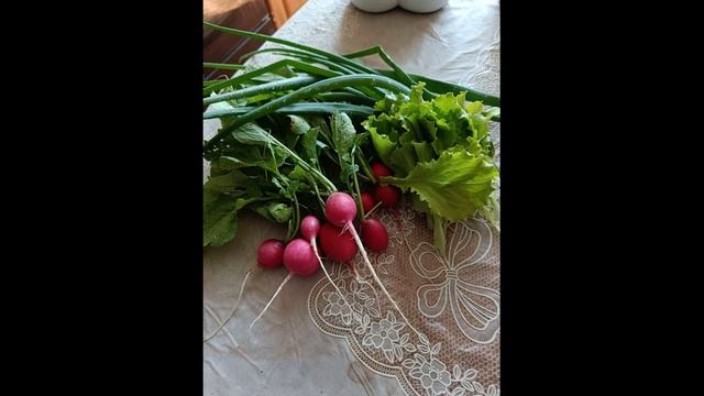 Закусычный набор