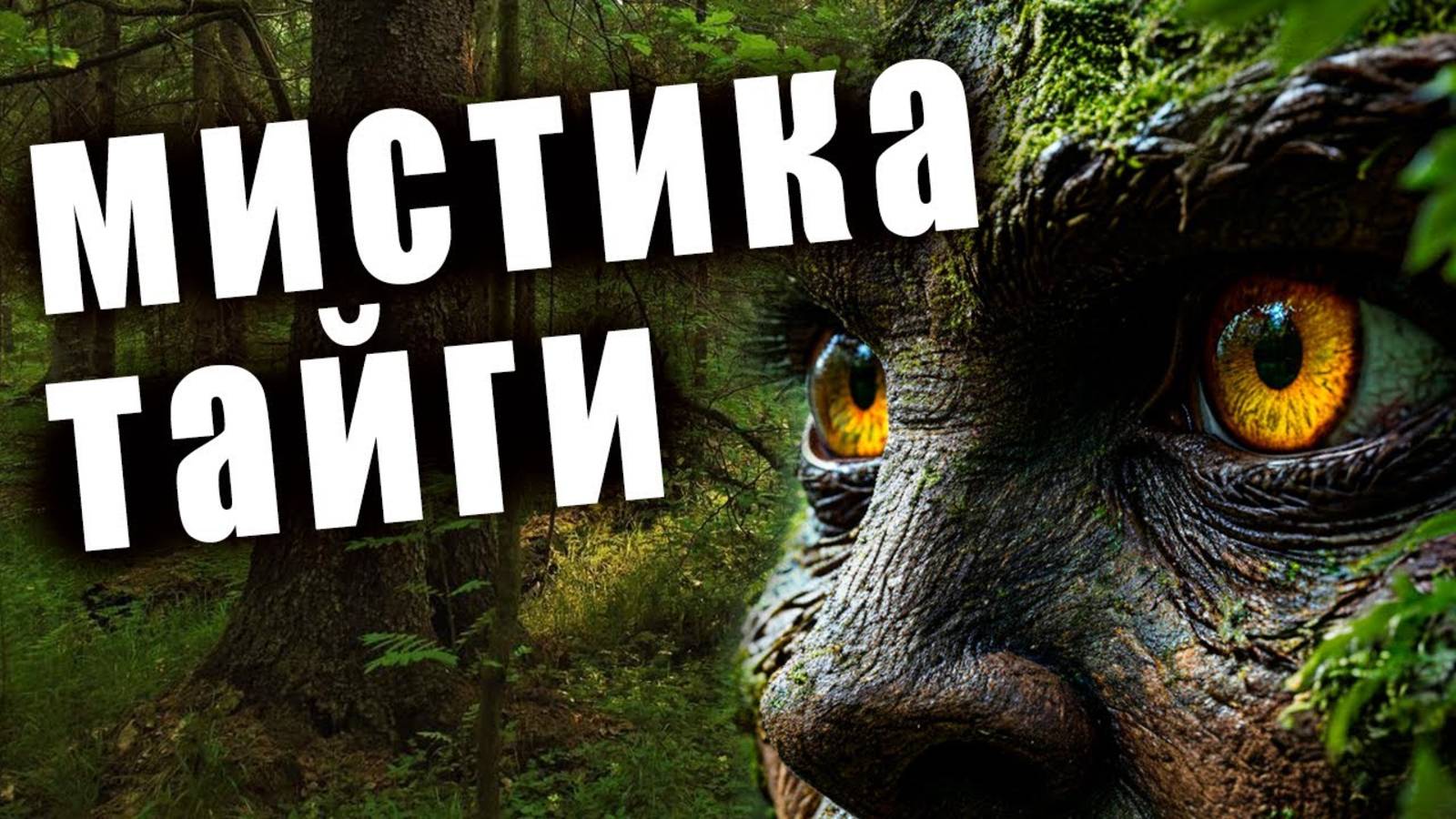 Истории таёжных охотников.  Мистика Тайги