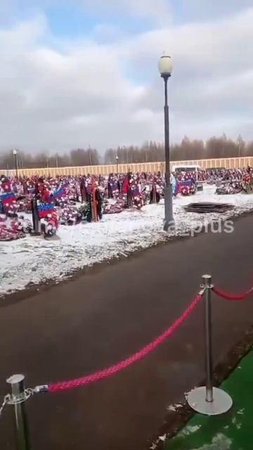 Движуха или гойда