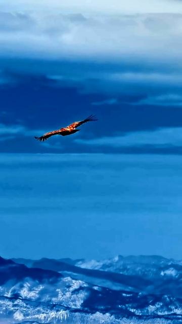 В объективе — настоящее волшебство