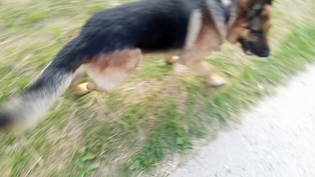 1000019256.mp4