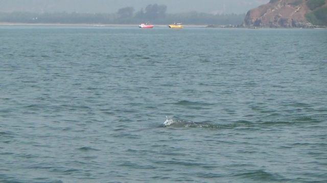 2016 ГОА море