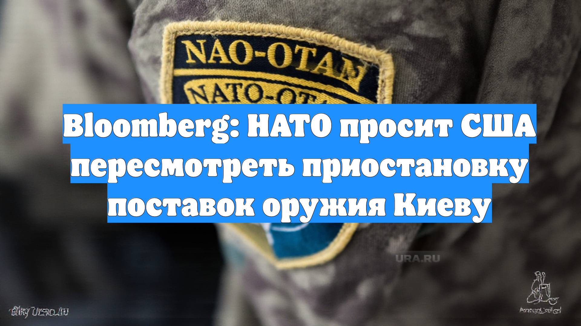 Bloomberg: НАТО просит США пересмотреть приостановку поставок оружия Киеву