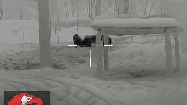 Тепловизор Lesnik 660, открыл сезон 2024 по кабану.