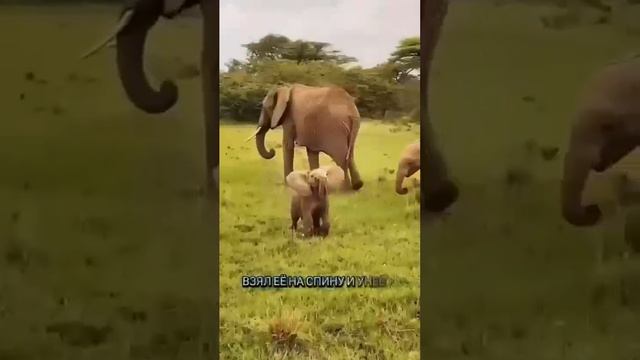 VID-20250703-WA0539