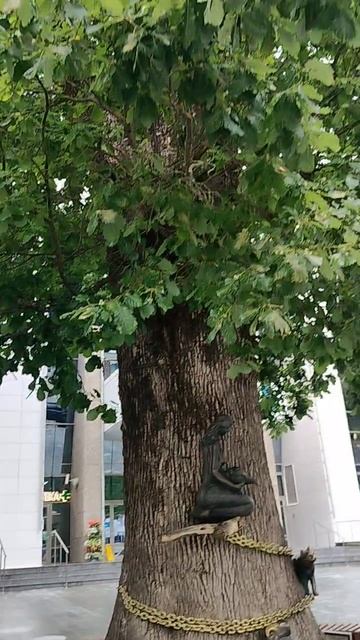 Памятник А.С. Пушкину, дуб, черный кот и русалка