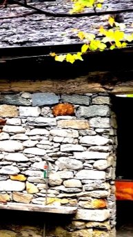 Реальные моменты жизни