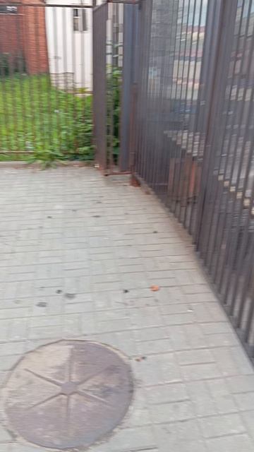 1000023390.mp4