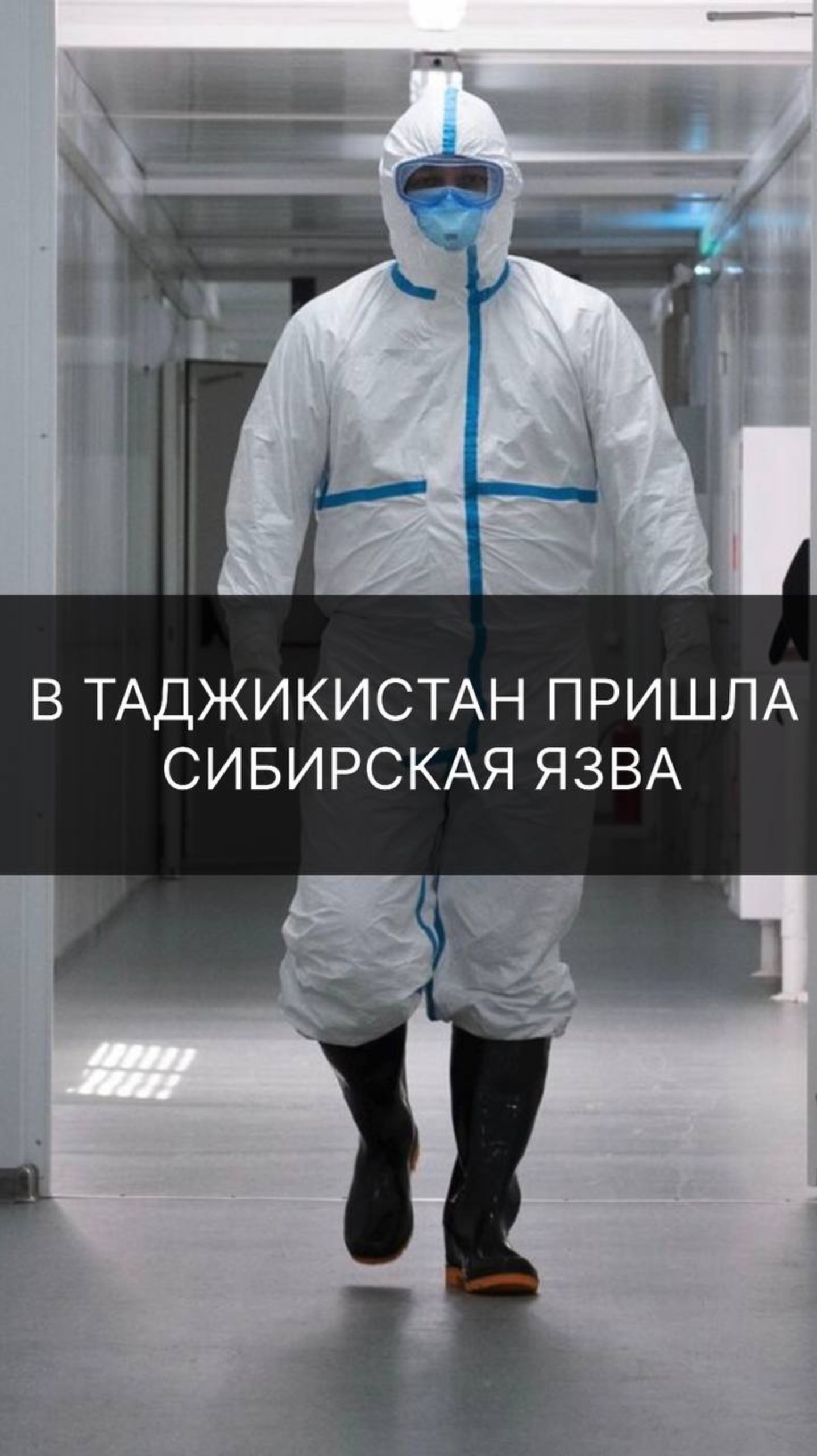 В Таджикистан пришла сибирская язва