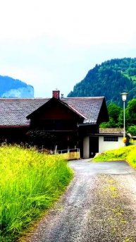 Камера сняла, как всё случилось