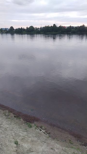 Река Нева, окраина Петербурга, 28 июня 2025.