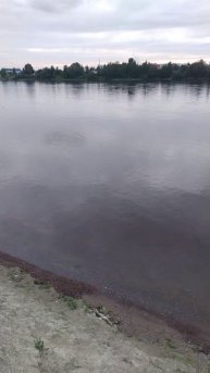 Река Нева, окраина Петербурга, 28 июня 2025.