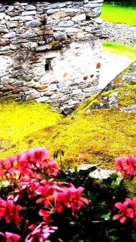 Камера раскрыла тайну