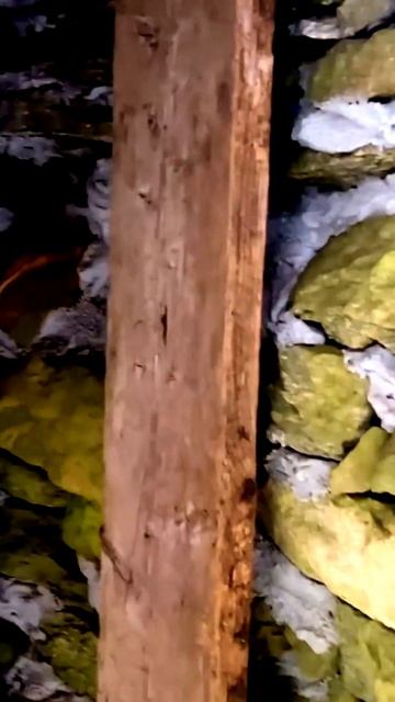 Камера поймала, как это произошло