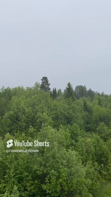 ЗАКОН ВЕРЫ#shorts