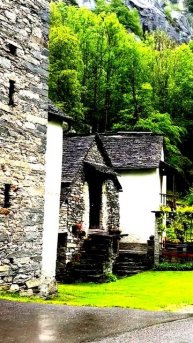 Камера поймала удивительную реакцию