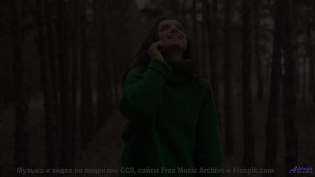 Этот трек - мост между твоей душой и миром природы - Electrons Orbiting Melancholy -- The Polish Amb