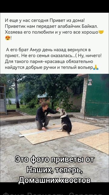 Теперь домашние) #Саратов #верностьсаратов #вдобрыерукисаратов