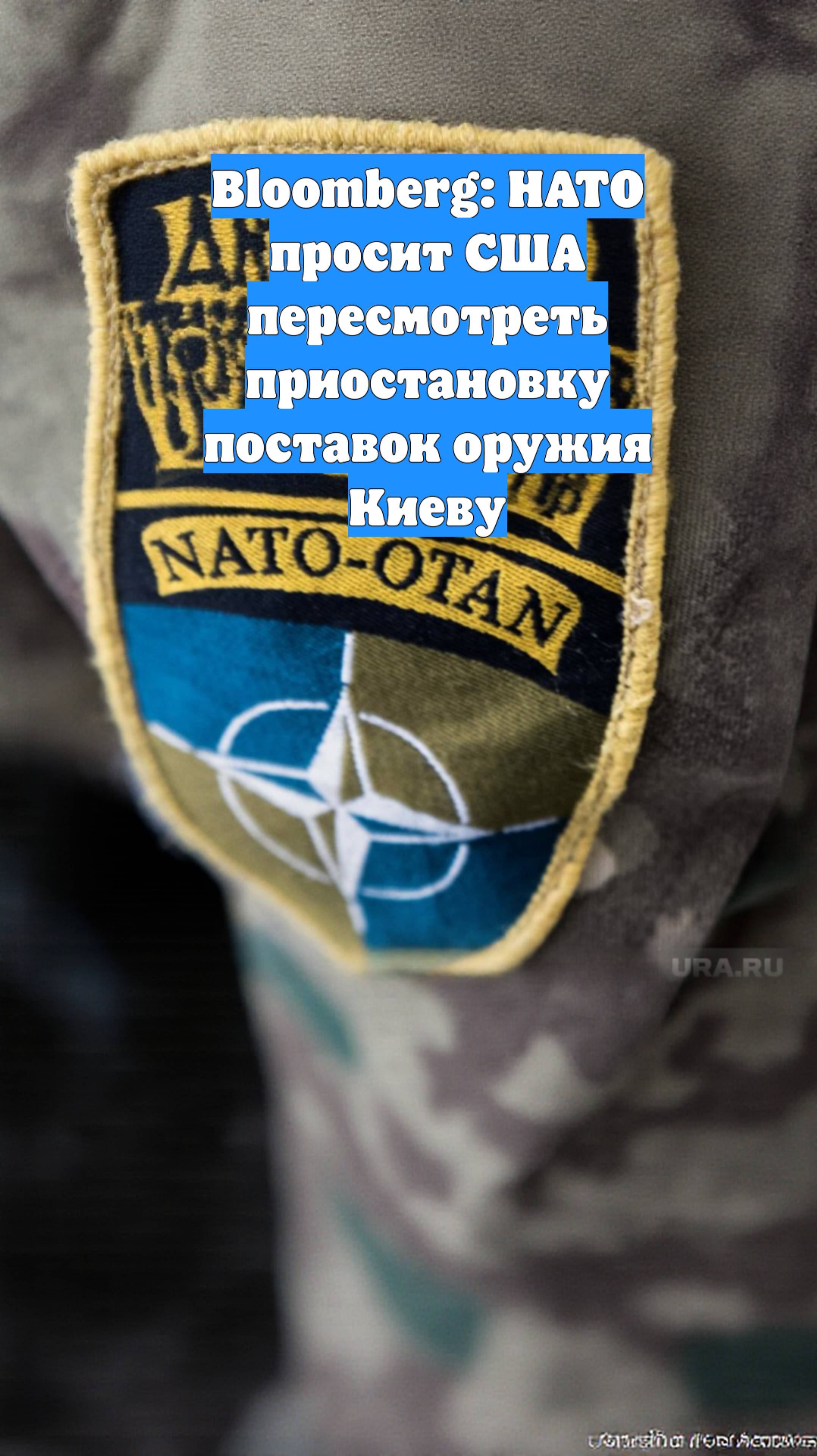 Bloomberg: НАТО просит США пересмотреть приостановку поставок оружия Киеву