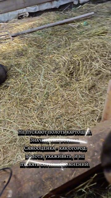Будни женщины с хозяйством и характером
