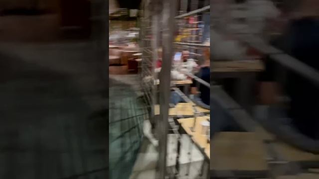 Гепердята посетили необычное заведение 🔥