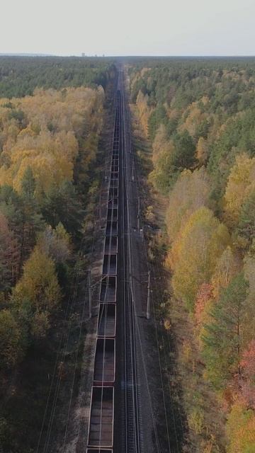 Третья столица России с высоты #путешествияпороссии #тревелвлог #казань #татарстан #кремль #travel