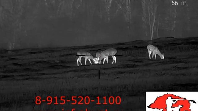 Тепловизор Barsuk