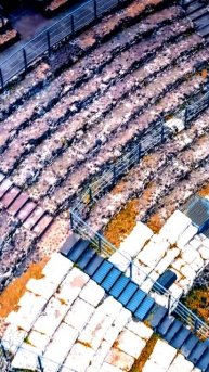 Камера не смогла пропустить