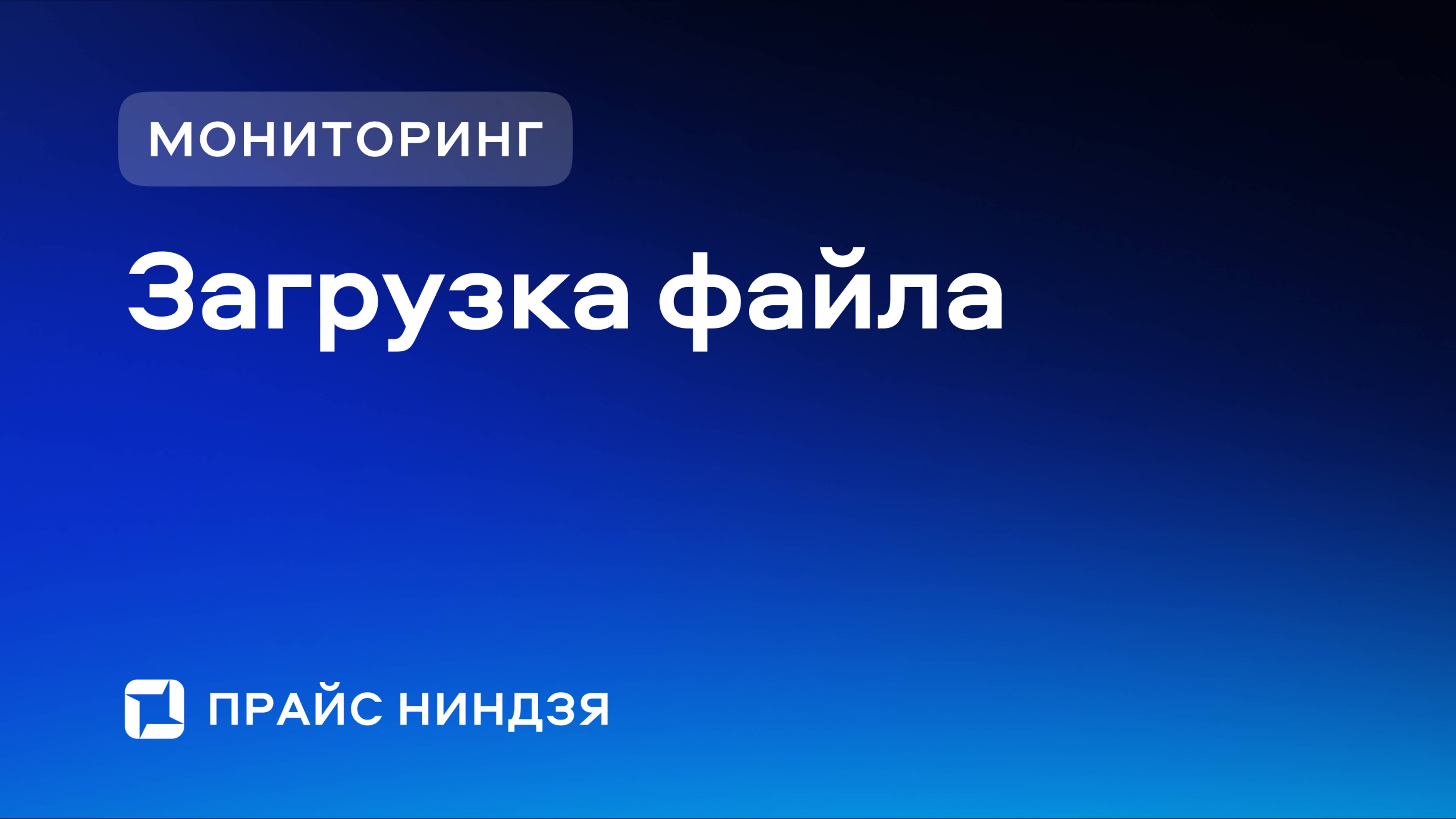 Прайс Ниндзя. Инструкция по заполнению файла мониторинг цен