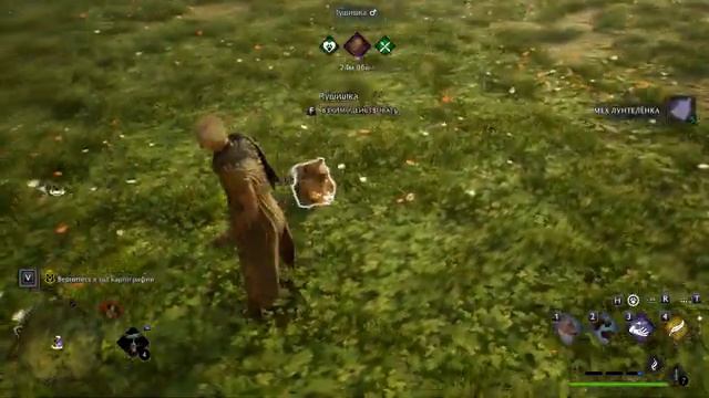 Подборки самых интересных моментов с прохождения Hogwarts Legacy
