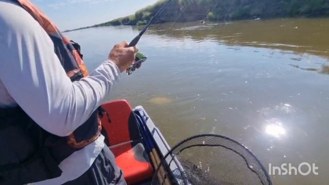 Крупная Ауха на Амуре.mp4