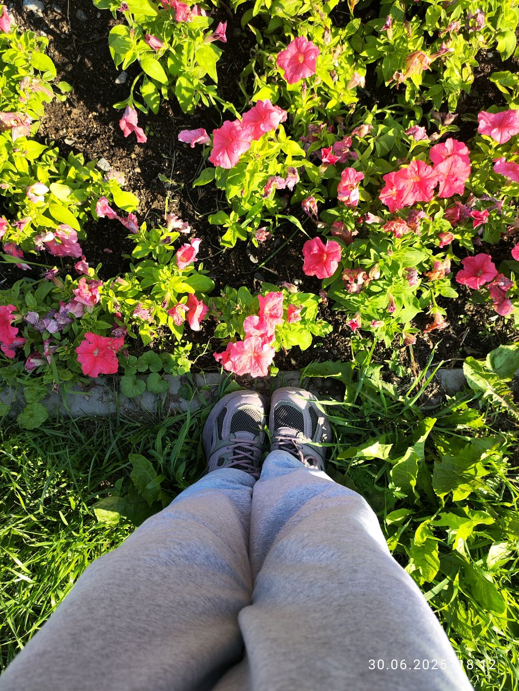 у меня дома паук, что я делаю?