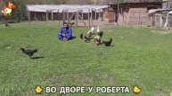 Содержание кур в домашних условиях и других птиц во дворе у Роберта 🐣🐤🦆🐔🪿🦃 (14)