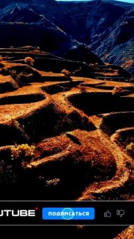 Камера поймала эмоциональную реакцию