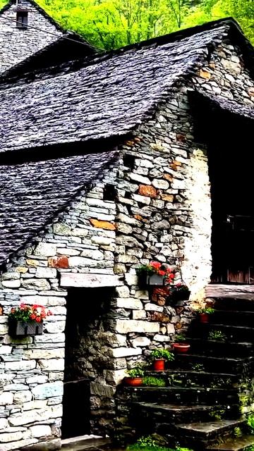 Камера зафиксировала невероятное