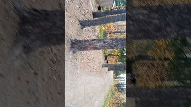 1000016568.mp4